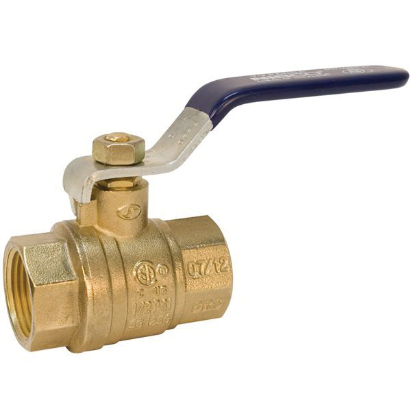Nibco® Forged Brass 2-Piece Full Port Ball Valve, FNPT, -4 to 194 deg F